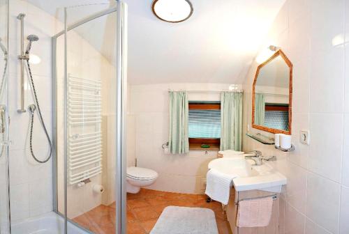 a bathroom with a shower and a toilet and a sink at Ferienwohnungen Haus Neumaier in Reit im Winkl
