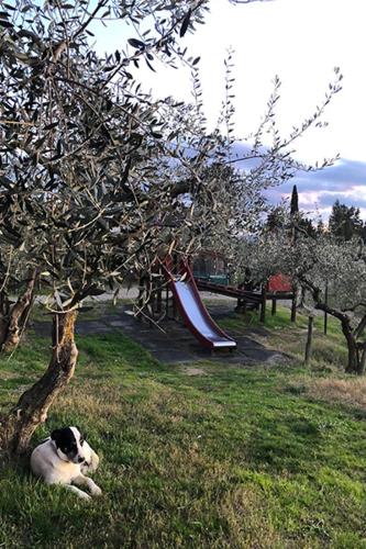 Κήπος έξω από το Agriturismo Montalbino