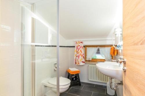 a bathroom with a toilet and a sink and a shower at Feichtenhof in Reit im Winkl