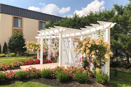 a white pergola in a garden with flowers at Clarion Hotel & Conference Center in Toms River