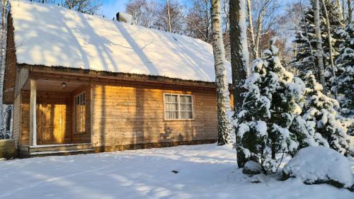 ein Blockhaus im Schnee mit einem Baum in der Unterkunft Marta-Lovise puhkemaja Aliine in Kipi