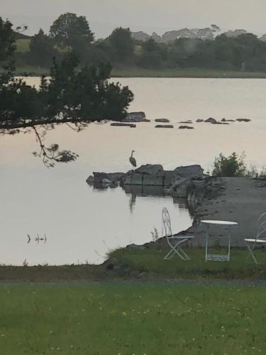 Blick auf einen Fluss in der Nähe des Ferienhauses