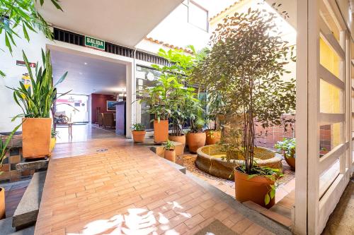 an indoor garden with potted plants in a building at Ayenda 1502 Principe in Bucaramanga