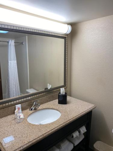 een badkamer met een wastafel en een grote spiegel bij Comfort Inn Oak Ridge - Knoxville in Oak Ridge