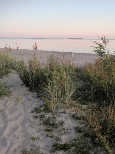 a group of people walking on the beach at Ljungs Fem Rum in Västergarn