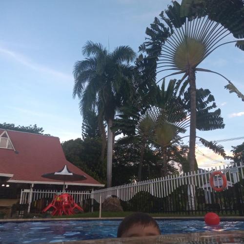 a person in a swimming pool with palm trees at Finca Hotel Pinares in La Pintada