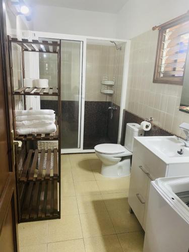 a bathroom with a toilet and a shower and a sink at Casas Rita in Frontera