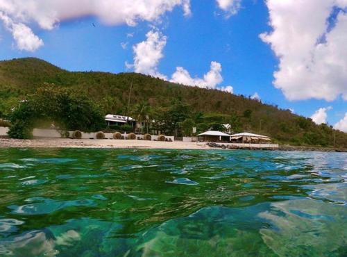 Great Carrot Bay