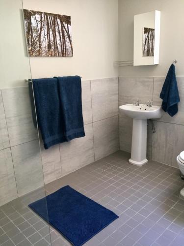 a bathroom with a sink and a toilet and blue towels at Westway Corner in Montagu