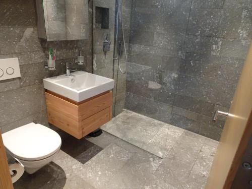 W łazience znajduje się toaleta, umywalka i prysznic. w obiekcie Curvér 3002 Ir Apart Irene w mieście Lenz