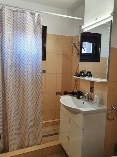 La salle de bains est pourvue d'un rideau de douche et d'un lavabo. dans l'établissement Casa Bianca, à Câmpulung Moldovenesc