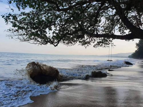 a swing hanging from a tree on a beach at The Phura Villa Khaolak - SHA Extra Plus in Khao Lak