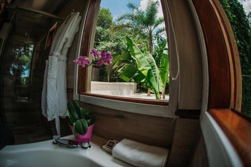 a bathroom with a sink and a window with a plant at Botánica Iguazú The House Experience in Puerto Iguazú