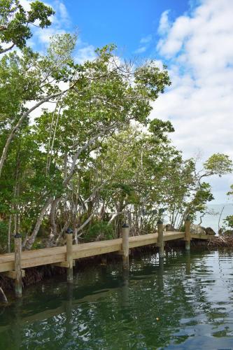 a wooden bridge over a body of water with trees at Indian Mound in Tavernier