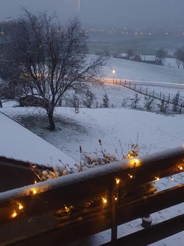 a snow covered field with a fence with lights at Chalet de la Sablière in Amougies