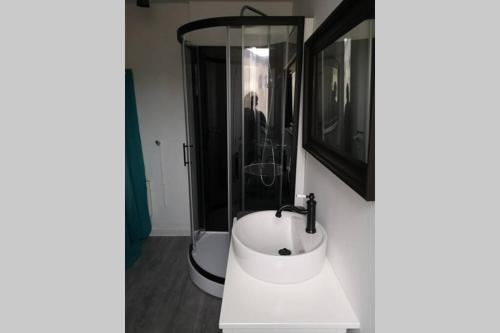 a bathroom with a sink and a shower at Au cœur de la Sologne in Romorantin