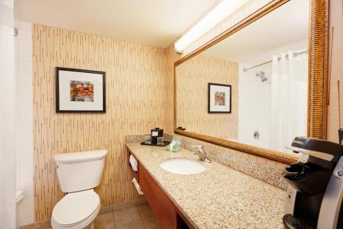 a bathroom with a toilet and a sink and a mirror at Holiday Inn Cincinnati Airport, an IHG Hotel in Erlanger