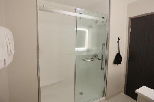 a shower with a glass door in a bathroom at Holiday Inn Express Oneonta, an IHG Hotel in Oneonta