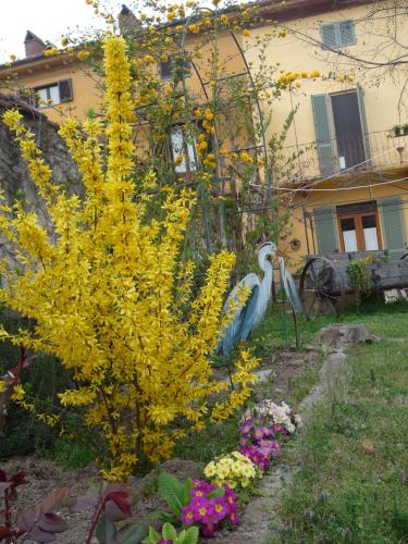 a bird standing next to a yellow plant with flowers at L'Adele Bed & Breakfast in Occimiano