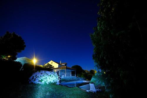 Zahrada ubytování 19th Centry Farmhouse Getaway - Sleep 12-14 w Pool