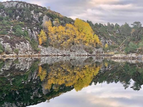 un reflejo de árboles de otoño en un lago en 8 person holiday home in Urangsv g, en Steinsbø