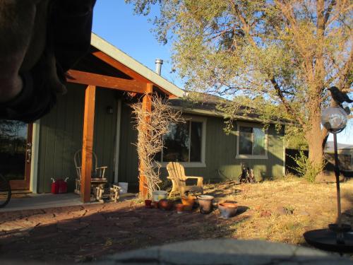 a green house with a dog sitting in front of it at Peaks Wildernest House Bed and Breakfast - Vaccinations Required in Flagstaff