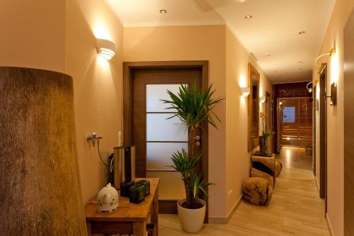 a hallway with potted plants in a building at Hotel-Marks-Garni in Zingst