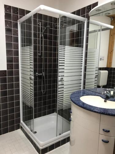 a bathroom with a shower and a sink at Ferienanlage Achtern Diek in Thalingburen