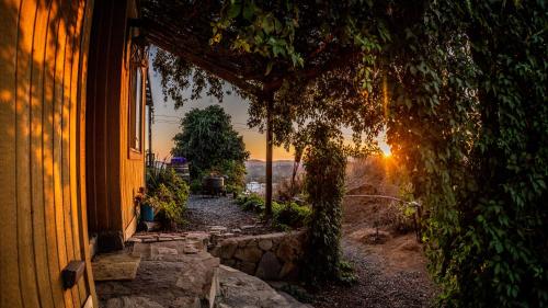 una casa con un árbol al lado de un edificio en Posada San Antonio, en Valle de Guadalupe