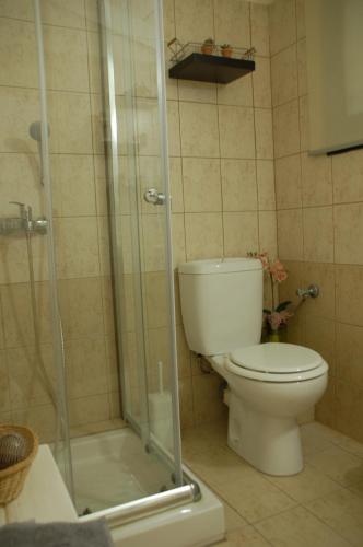une salle de bains avec toilettes et douche en verre dans l'établissement Domenica Apts II, à Laganas
