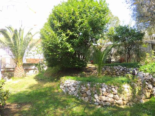 Fotografie z fotogalerie ubytování Rooms Villa Desa v destinaci Budva