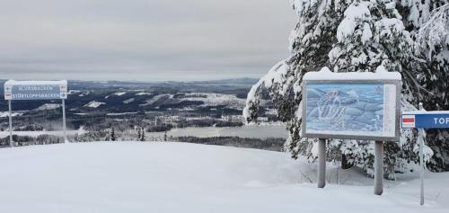 Semesterhus i Hälsingland nära Hassela skidbacke och strand v zimě