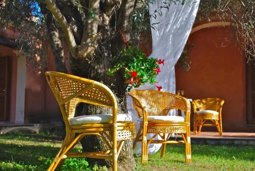 Gallery image of Vecchio Stazzo in San Teodoro