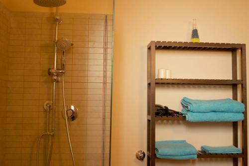 ein Badezimmer mit einer Dusche und Regalen mit Handtüchern in der Unterkunft B&B Casa Bologna in Bologna