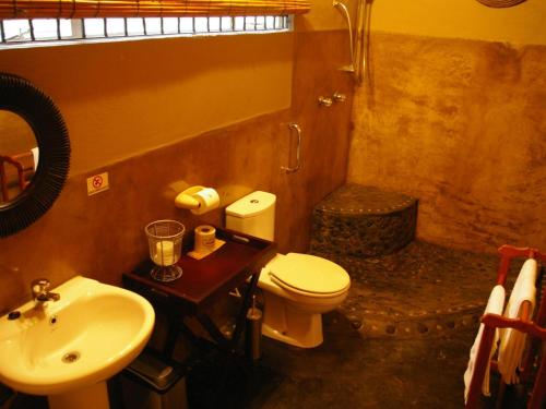 a bathroom with a white toilet and a sink at Bohm's Zeederberg Country House in Hazyview