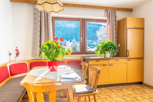Kuchyň nebo kuchyňský kout v ubytování Appartement Lasshofer