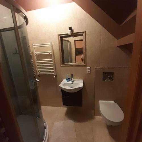 Bathroom sa Agroturystyka Brzozowe Wzgórze