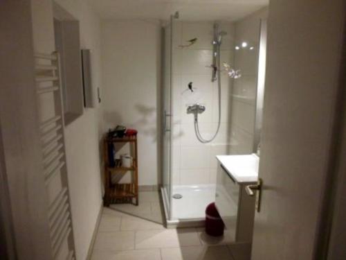 a bathroom with a shower and a sink at Ferienwohnung Angelika und Guenter in Handewitt