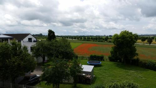 an aerial view of a field of flowers and a house at Hotel Ackermann in Riedstadt