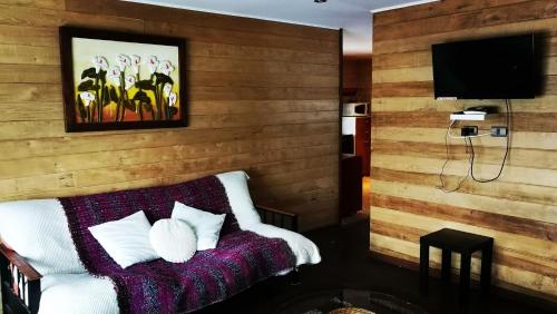 a room with a wooden wall with a couch and a tv at Cabañas Torre Huillinco in Huillinco
