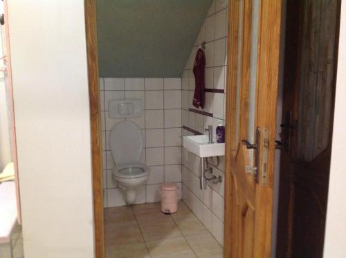 a small bathroom with a toilet and a sink at Steinhaus / Kamenny Dum in Zdíkov