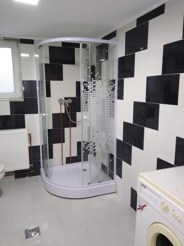 eine Dusche im Bad mit schwarzen und weißen Fliesen in der Unterkunft Casa M in Câmpulung Moldovenesc