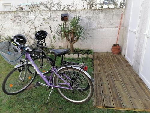 een paarse fiets geparkeerd op het gras in een tuin bij Studio Calme in Ouistreham