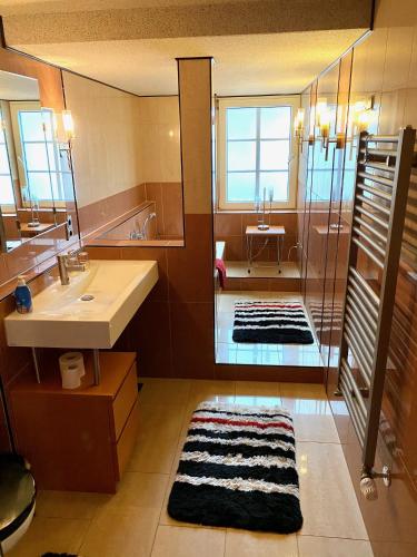 a bathroom with a shower and a sink and a mirror at Zur Auguststadt in Wolfenbüttel