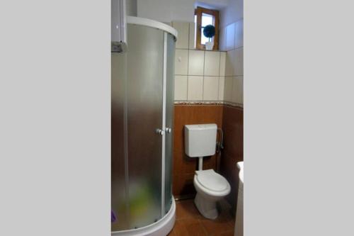 een badkamer met een toilet en een glazen douche bij Studio 6 in Târgu-Mureş