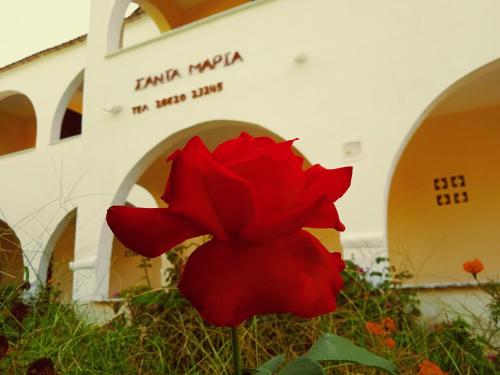 a red flower in front of a building at Santa Maria in Vitalades