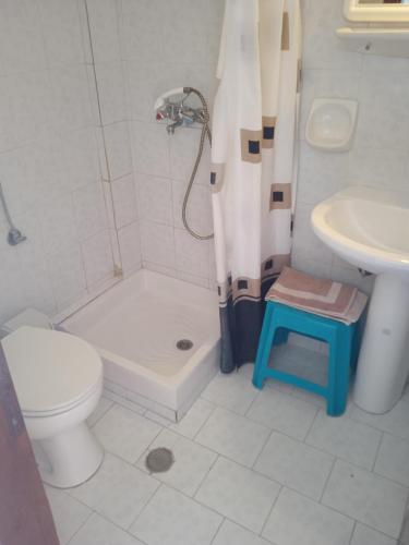 a bathroom with a shower and a toilet and a sink at Santa Maria in Vitalades