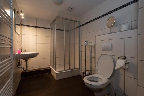 a bathroom with a toilet and a shower and a sink at Pension Lemke in Polchow