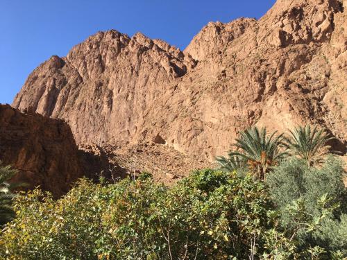 a mountain with a palm tree in front of it at La Petite Gorge, Hôtel & Restaurant Todra Gorge in Tinerhir