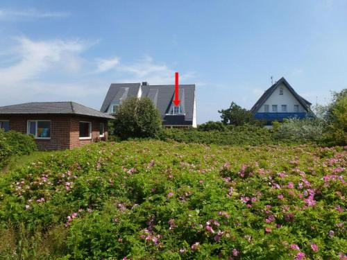 Ảnh trong thư viện ảnh của Haus Dünenrand, App 2 ở Wenningstedt